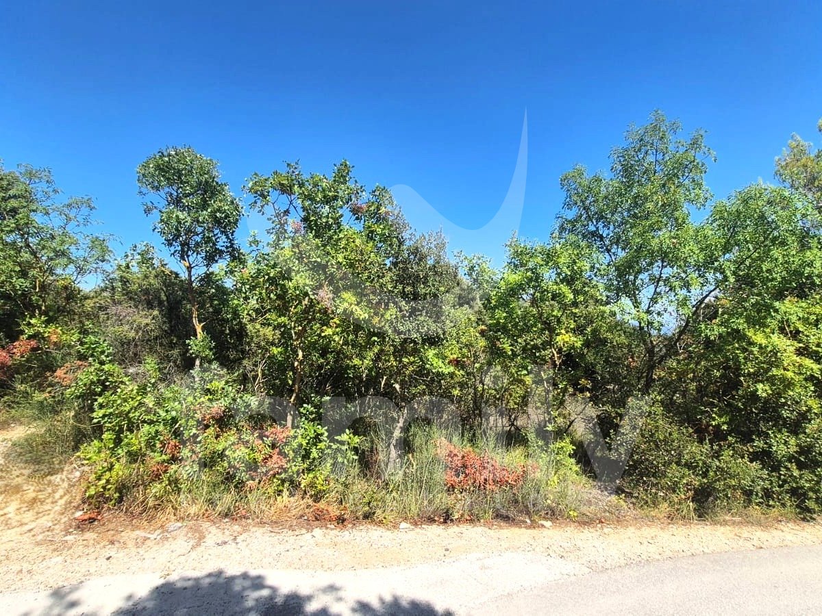 35.619