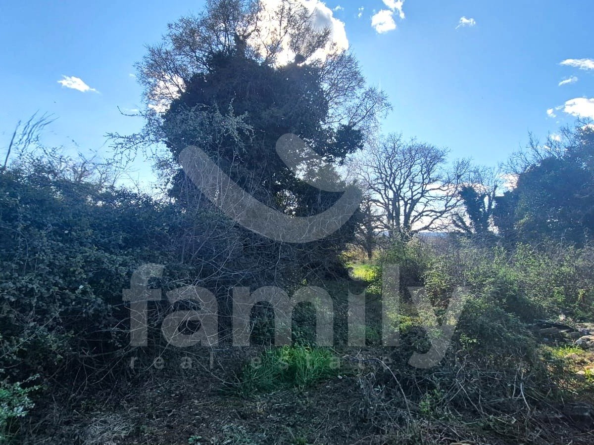 31.014