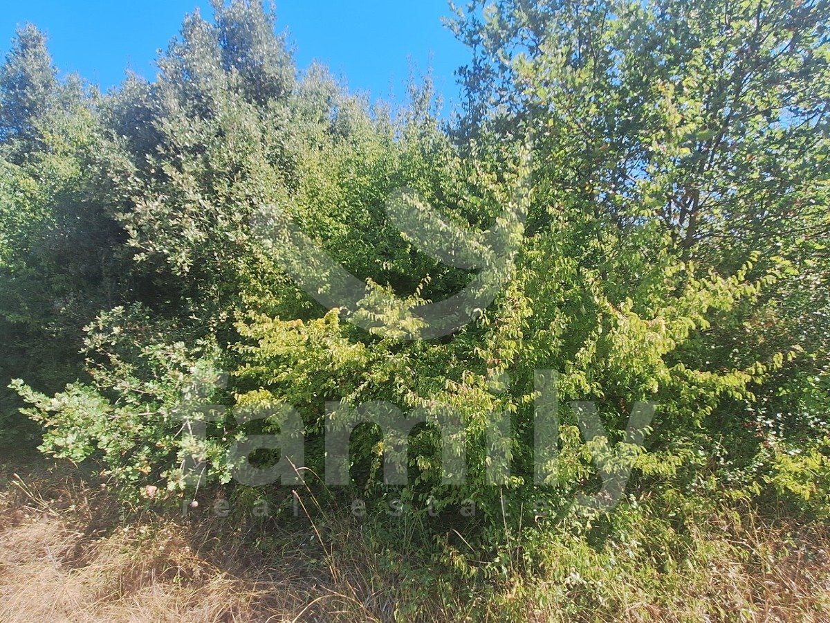 35.321